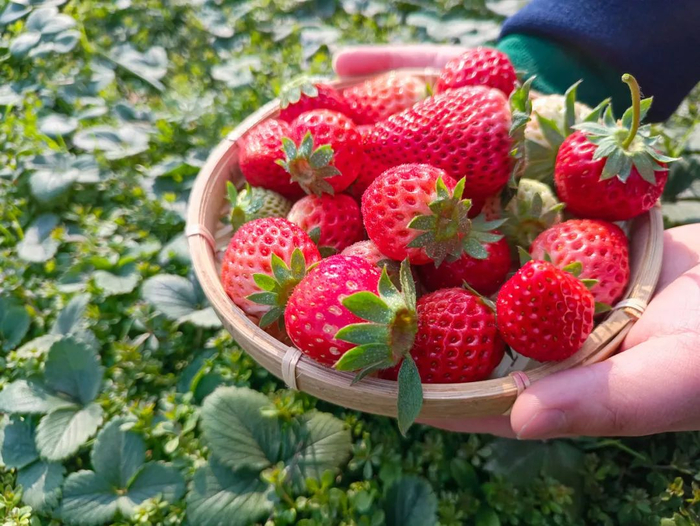 图库版权图片，转载使用可能引发版权纠纷