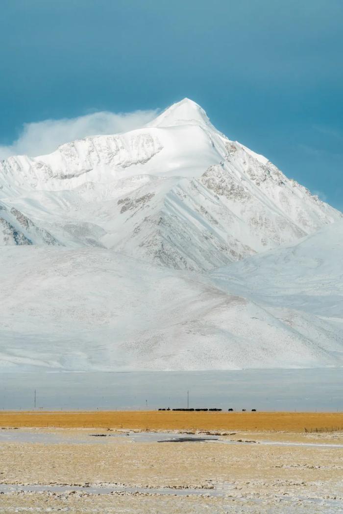 本期内容,我们一起来看看冬天如何拍出有意境又好看的雪景照片吧!