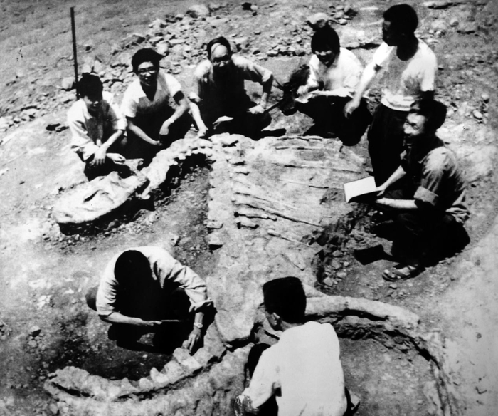 ▲1976年上游永川龙发掘现场（重庆自然博物馆供图）