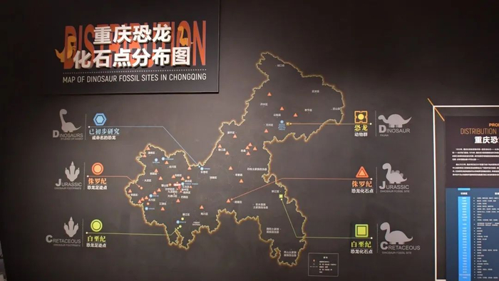 ▲重庆恐龙化石分布图
