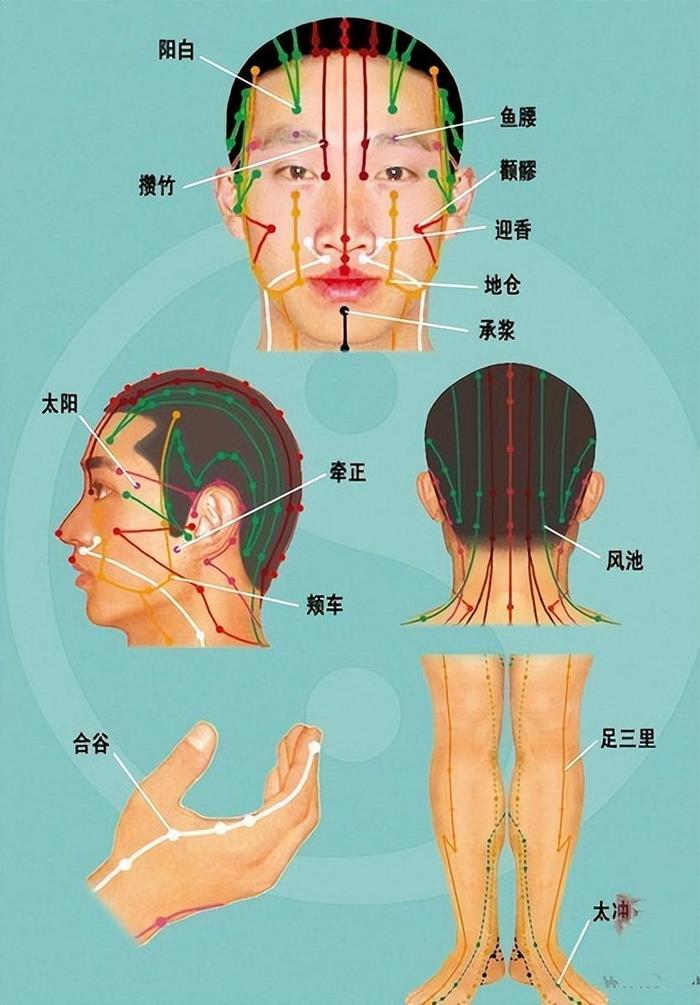 左脸面瘫艾灸什么部位图片