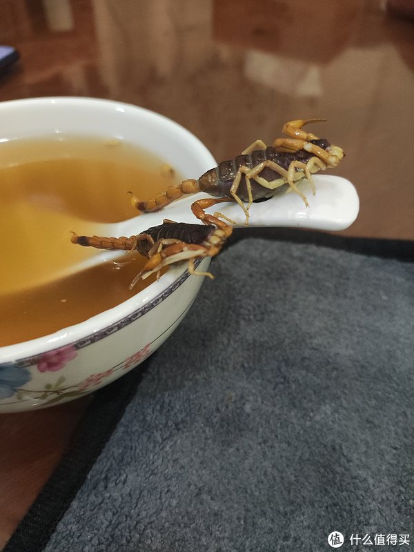 蝎子老母鸡汤,又好喝又好玩|鸡汤_新浪新闻