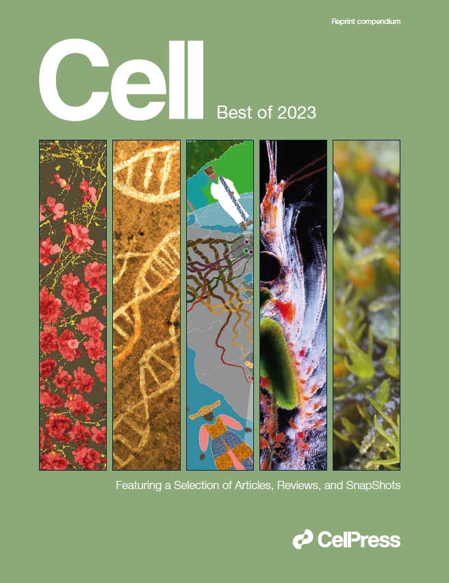 CSSCI C类核心期刊区别 CSSCI期刊排行榜及核心期刊是谁