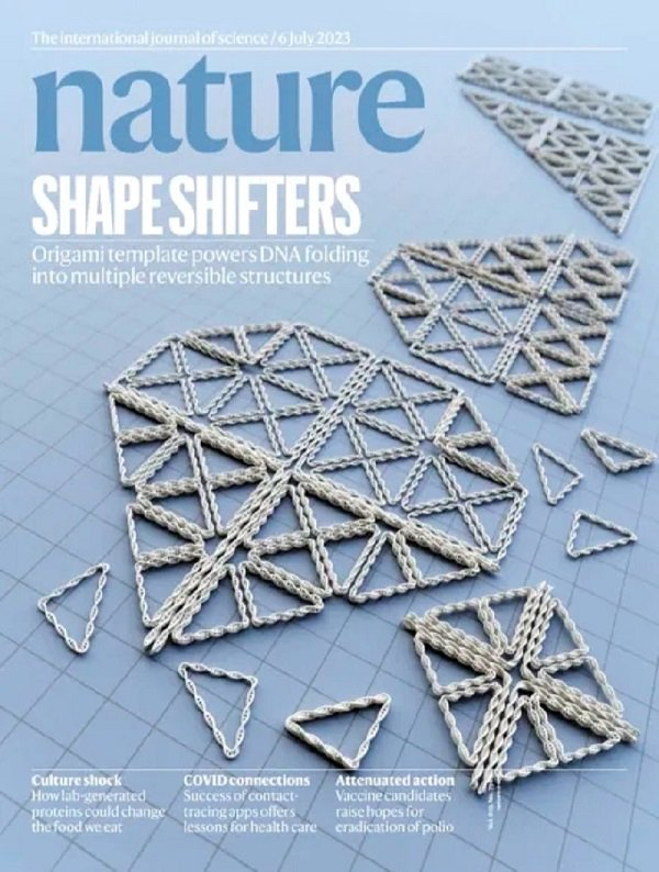 韩国科学家开发出DNA纳米技术，可像折纸一样折叠或展开厚度为人类头发千分之一的DNA纳米结构。