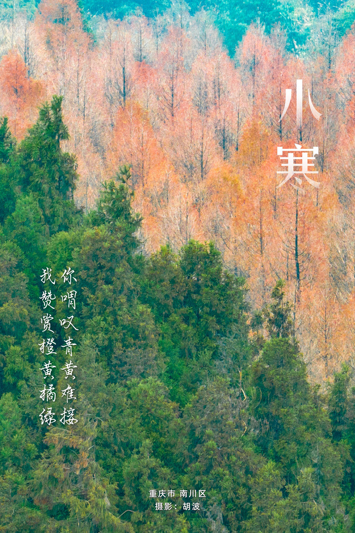 寻声·小寒|莫笑冰雪本无色,晴空相映自有蓝