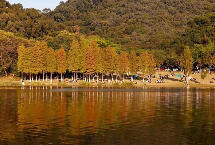 同沙生態公園門票情況:免費開放時間:全天導航地址:東莞市網球中心