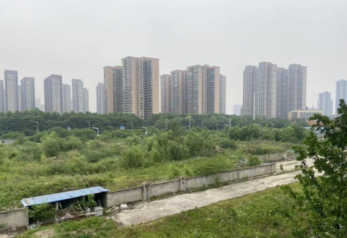 注：图片来源于网络