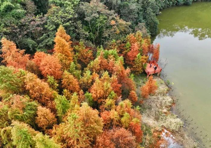 導航地址:大嶺山景區附近林科園,導航至林科園科普廣場或是石洞景區