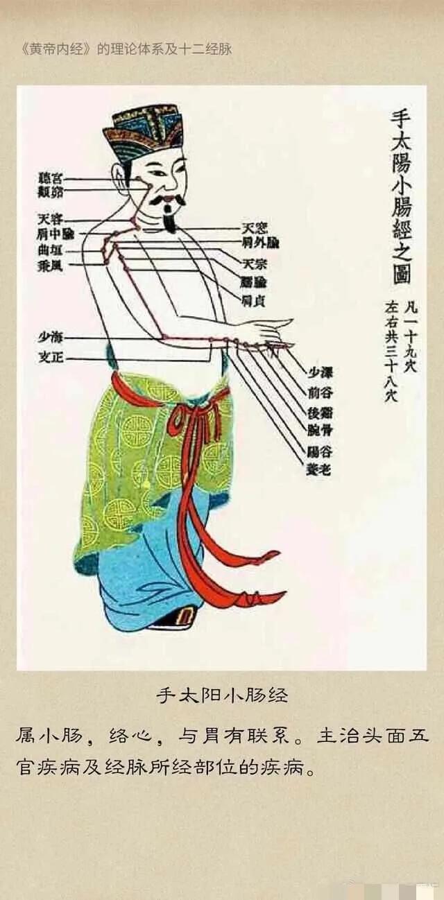 最全的十二經絡養生法附經絡走向高清圖