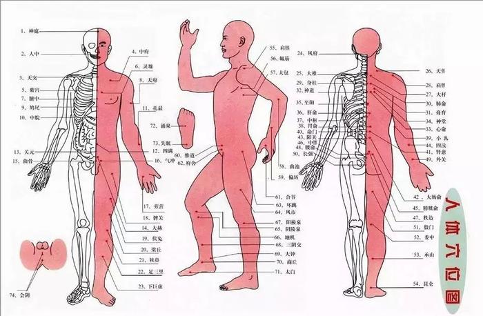 全身103要穴大全關鍵時刻按一按緩解身體小毛病