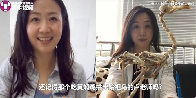 卢静和团队拼出始祖鸟模型