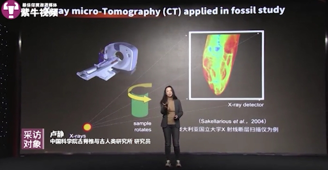 卢静介绍中科院CT中心的技术