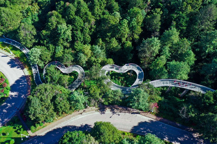 昆明金殿后山这条乡gai子,藏着你寻觅已久的人间烟火|导航|哈马|金殿