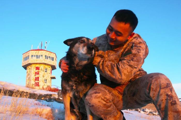 功勳犬成豹陪你再走巡邏路