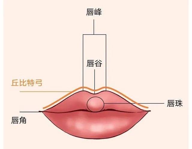 萬年糊咖逆襲世界第一美豐唇救了她的命