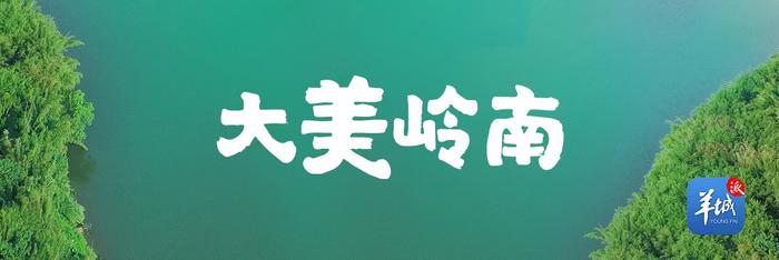 羊城晚報《大美嶺南》第83站來到南沙蕉門河,通過攝影家歷時半年多數