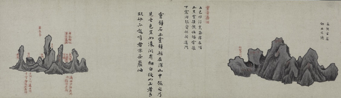 《云林石谱图》卷（局部） 明 （1368-1644） 孙克弘 上海博物馆藏