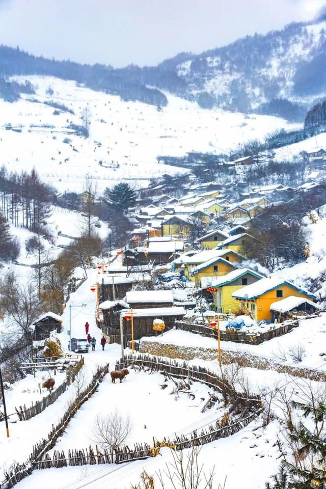 水墨雪村——吉林松岭|白雪|雪村|水墨_新浪新闻