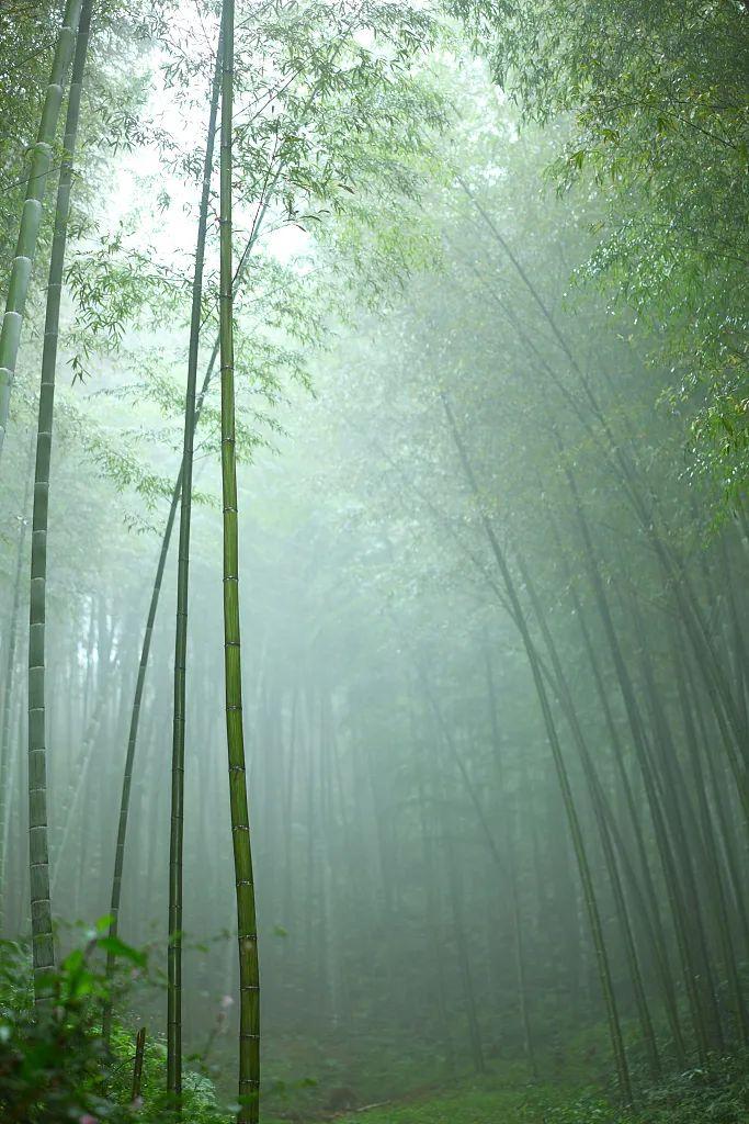 宋·沈括《夢溪筆談》:﹝月行﹞黃道之東,謂之青道.