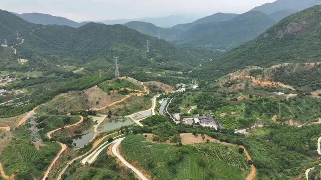 惠東九龍峰打造多條微度假旅遊線路壯大鄉村經濟新增長極