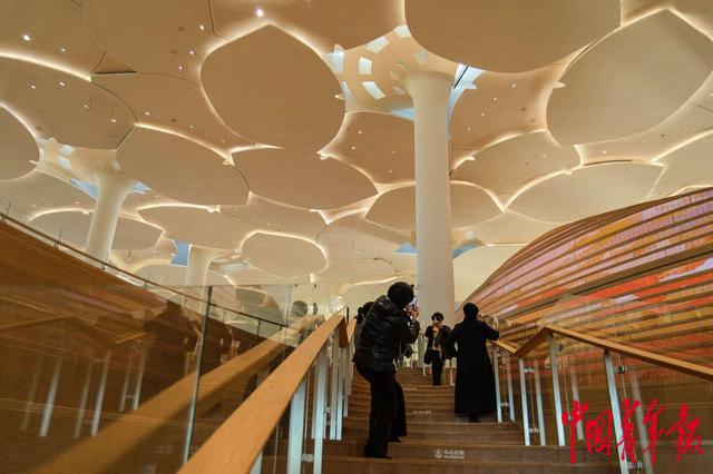 1月9日，北京通州，北京城市图书馆，银杏树叶伞盖状的屋顶设计，吸引市民打卡留念。中青报·中青网记者 张玉佳/摄