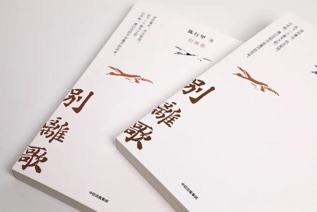 seo技术顾问阿亮