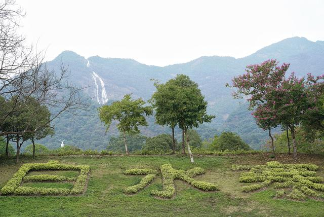 增城区白水寨景区，远处的白水仙瀑落差达428.5米，是中国内地落差最大的瀑布。 澎湃新闻记者 王珏玮 图