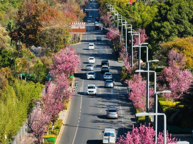 有一种叫云南的生活冬日限定快来昆明红塔西路走花路