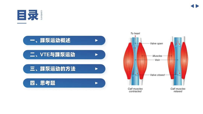 踝泵运动护理宣教_新浪新闻