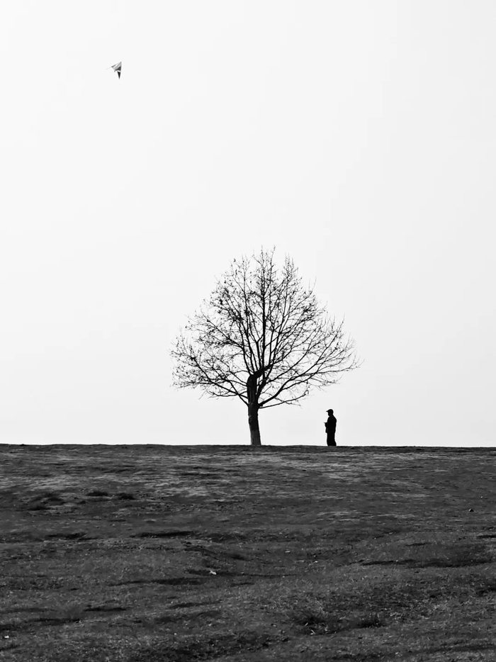 单色搭配的极端情况就是黑白照片,像是黑色,白色,灰色这样的中性色