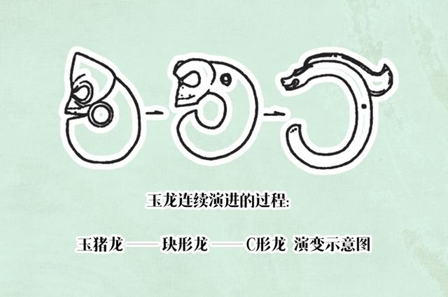 玉猪龙logo图片