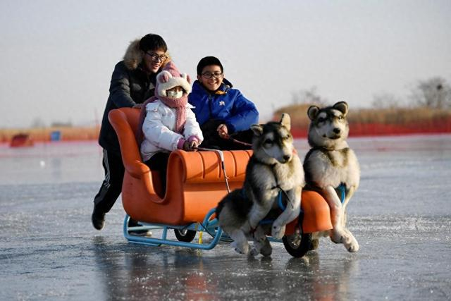 元旦小长假期间，宁夏银川市鸣翠湖滑雪场迎来许多游客。游客们用享受冰雪运动的方式迎接新年的到来。新华社记者 王鹏 摄