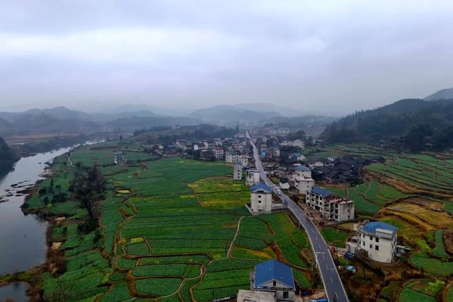 一村一景 湖南县溪镇老湾村:葱茏田园景 乡村入画来|刘琼|湖南省