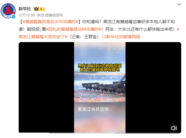 来源：“新华社”微博截图