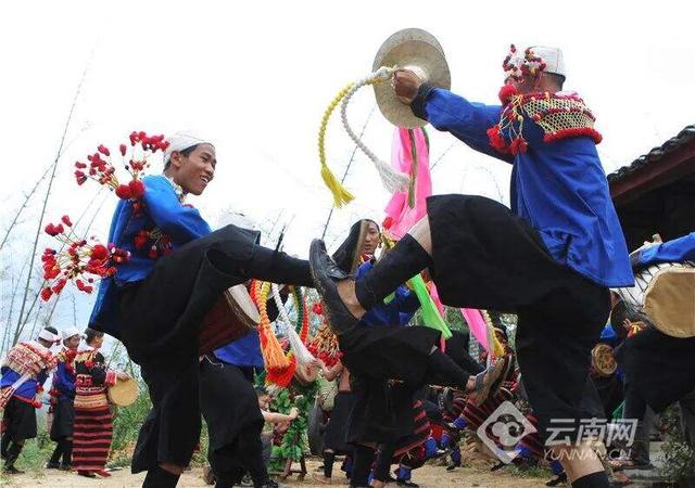 在雲南,主打一個