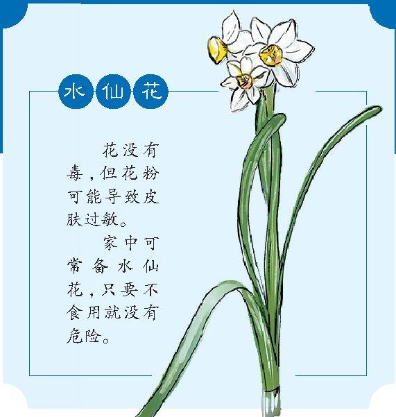 擅用植物泡酒泡茶 當心中毒|曼陀羅|中毒|藥酒_新浪新聞