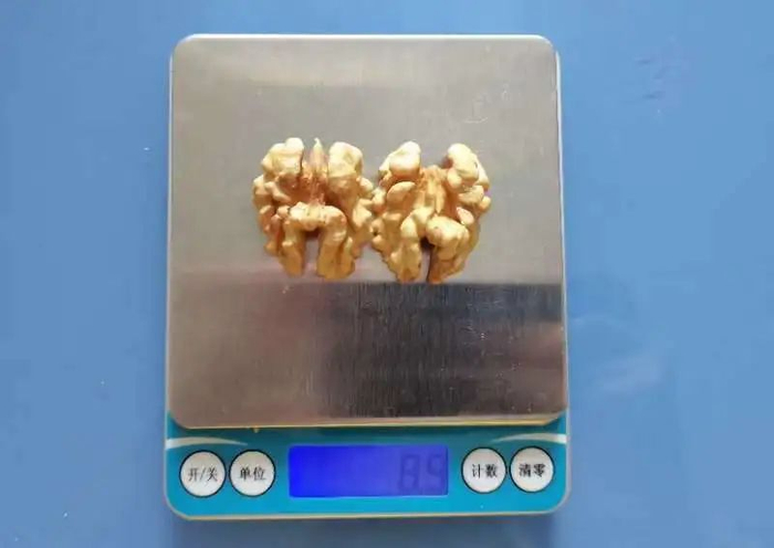 1 个纸皮核桃的重量大约为 9g，图源：作者提供