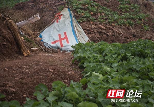 在湖南臘味等同於年味麻陽苗寨裡處處臘味香