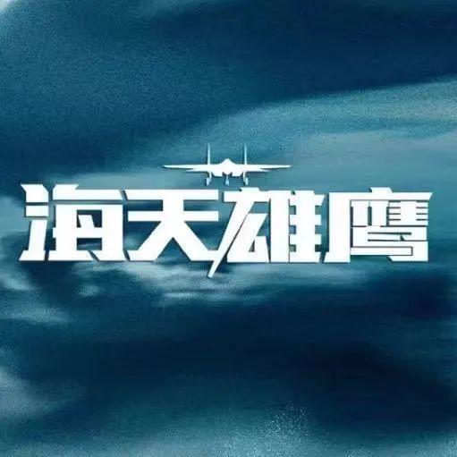 《海天雄鷹》《我們正年輕》《愛上海軍藍》《藍盔特