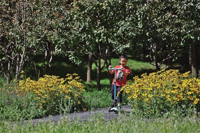 市民打卡大众花园。新京报记者 王飞 摄