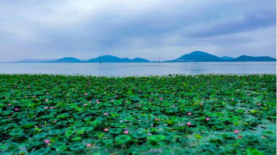 火来胜:那山,那水,那片田|石碣村|砚田|砚台_新浪新闻