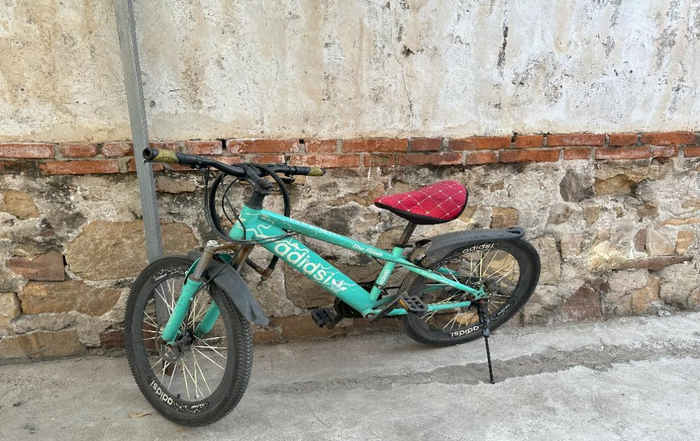 （马树山“走街串户”的单车，原来是外孙女的“坐骑”，李微敖/摄）