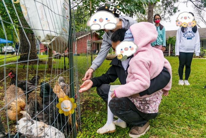 mia和家人們在農場中參與志願者們為她準備的復活節農場音樂生日會