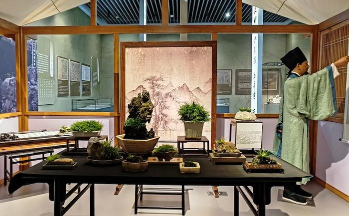 王大濛先生一组植蒲