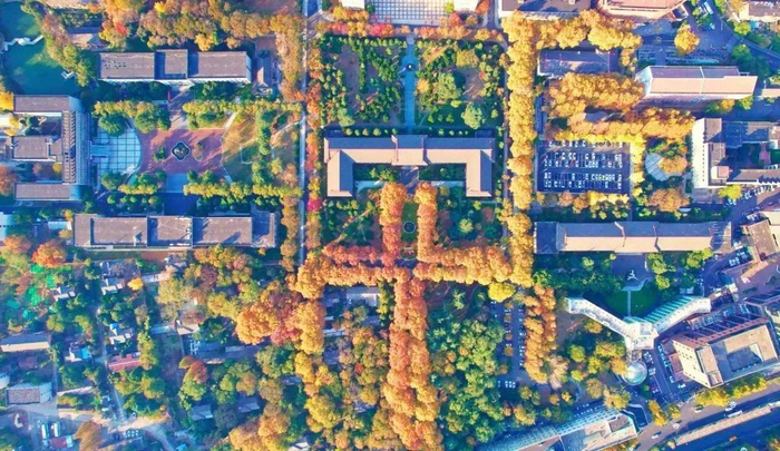 安徽农业大学秋景。（图源：安徽农业大学）