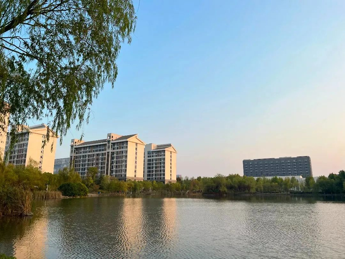 图源：合肥大学