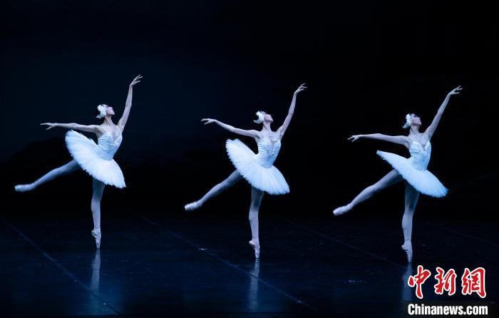 中芭在香港演绎古典芭蕾舞剧《天鹅湖》之美|王子|香港|天鹅湖_新浪