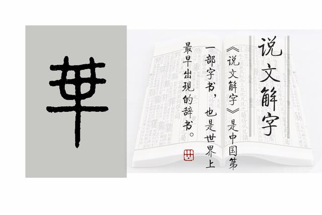 《说文解字》第766课:细说“畢”字,群贤毕至的毕字是啥意思|广韵·桓韵|集韵·质韵|群经平议·尔雅|广韵·质韵|说文解字注_新浪新闻
