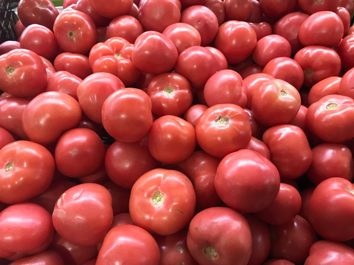 健康时报 毛圆圆 摄