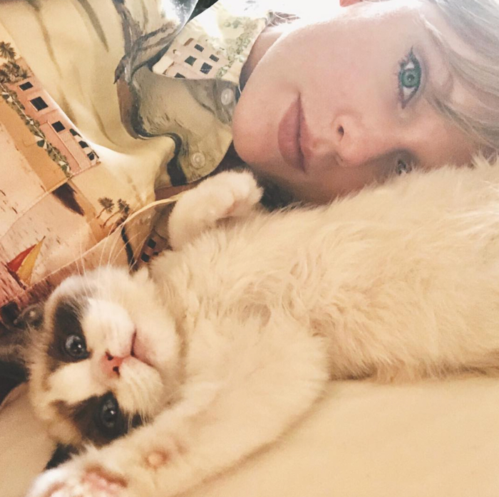 taylor一共养了3只猫,分别为苏格兰折耳猫meredith grey,olivia